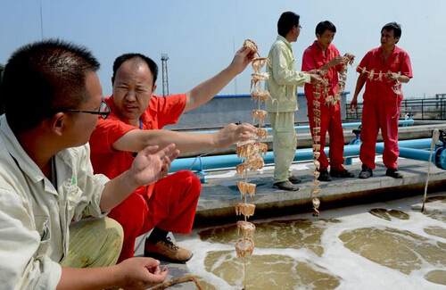 淺析生物水處理消泡劑-污水處理界的“新寵”