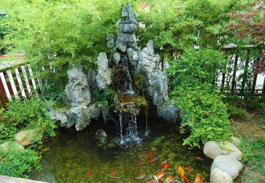 起泡的魚池，魚池用消泡劑解決泡沫難題