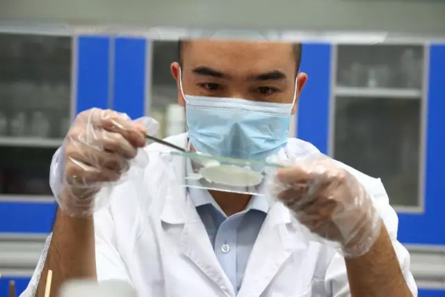 好神奇！環氧膠消泡劑能解決車飾開裂問題