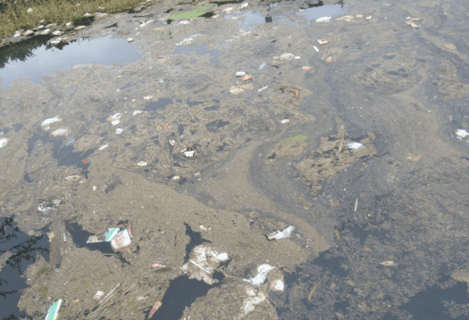 希望你，不要等到環(huán)境被污染了才意識(shí)到垃圾滲濾液處理消泡劑的必要