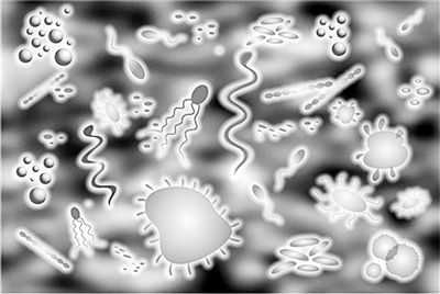 微生物用消泡劑就沒有比我寫更詳細(xì)的了!-