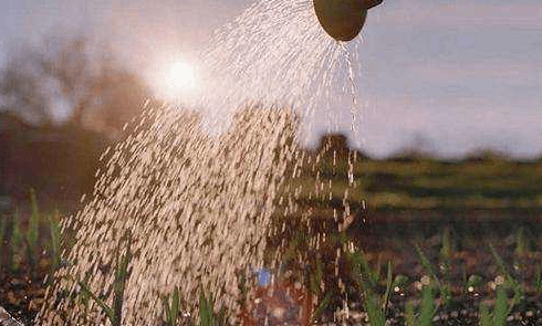 化肥用消泡劑的什么特性讓它消泡勝人一籌