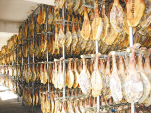 發酵行業用消泡劑在發食品中的應用