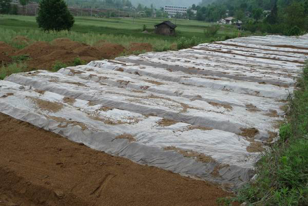 發酵用有機硅消泡劑在發酵中應用