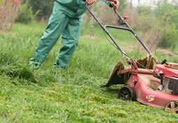 化肥消泡劑在除草中的應(yīng)用