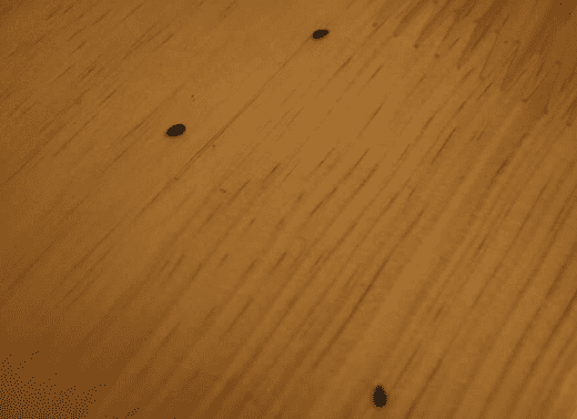 家具漆消泡劑在家具漆中的應(yīng)用 家具漆消泡劑在家具漆中的應(yīng)用