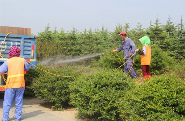 除草劑消泡劑在除草中應用