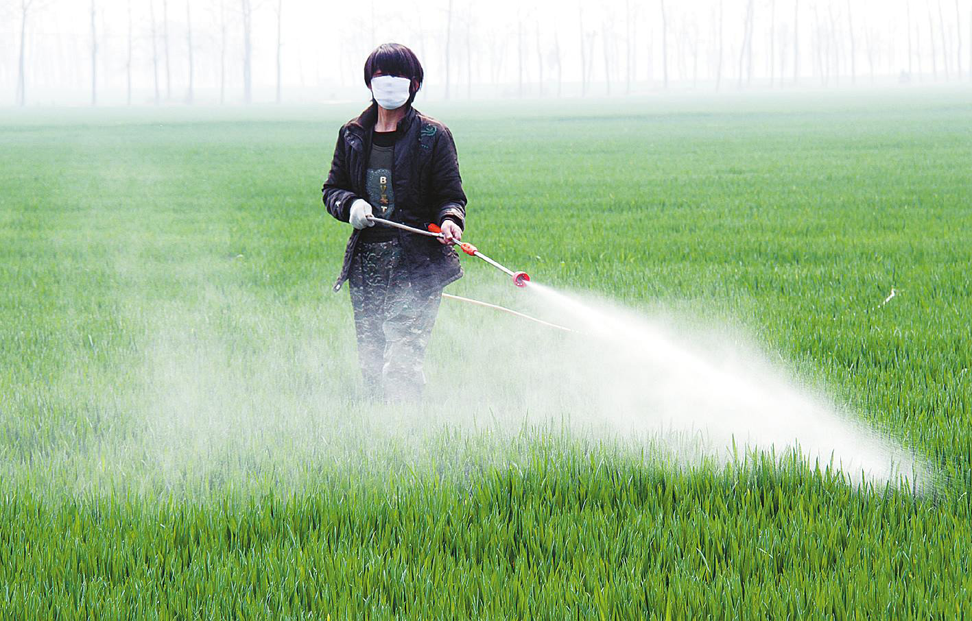 除蟲劑消泡劑在農作物中應用
