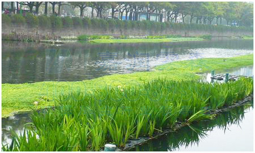 水處理消泡劑 水處理消泡劑