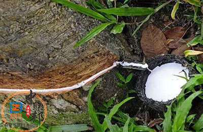 橡膠樹(shù)脂消泡劑在橡膠行業(yè)中應(yīng)用