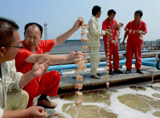 生物水處理場景圖