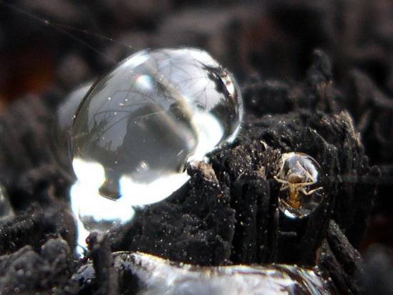 造紙乳化松香膠消泡劑在造紙乳化松香膠中應用 造紙乳化松香膠消泡劑在造紙乳化松香膠中應用