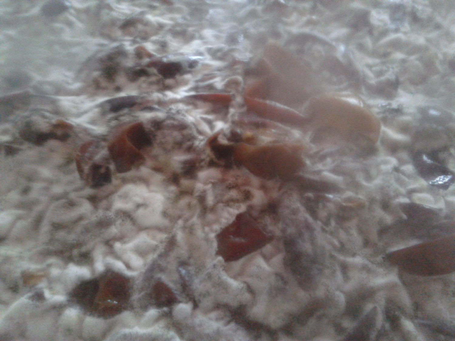 發酵消泡劑在發酵中應用 發酵消泡劑在發酵中應用