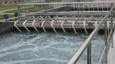 u=466023666,3661879345&fm=253&fmt=auto&app=138&f=JPEG.webp.jpg u=466023666,3661879345&fm=253&fmt=auto&app=138&f=JPEG.webp.jpg