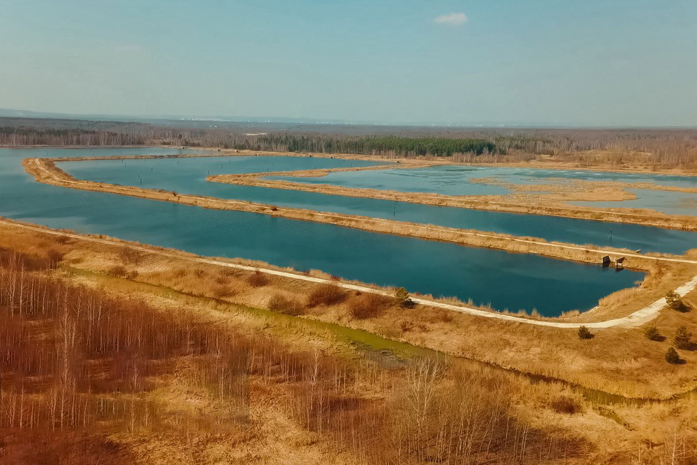 1225125.jpg 1225125.jpg